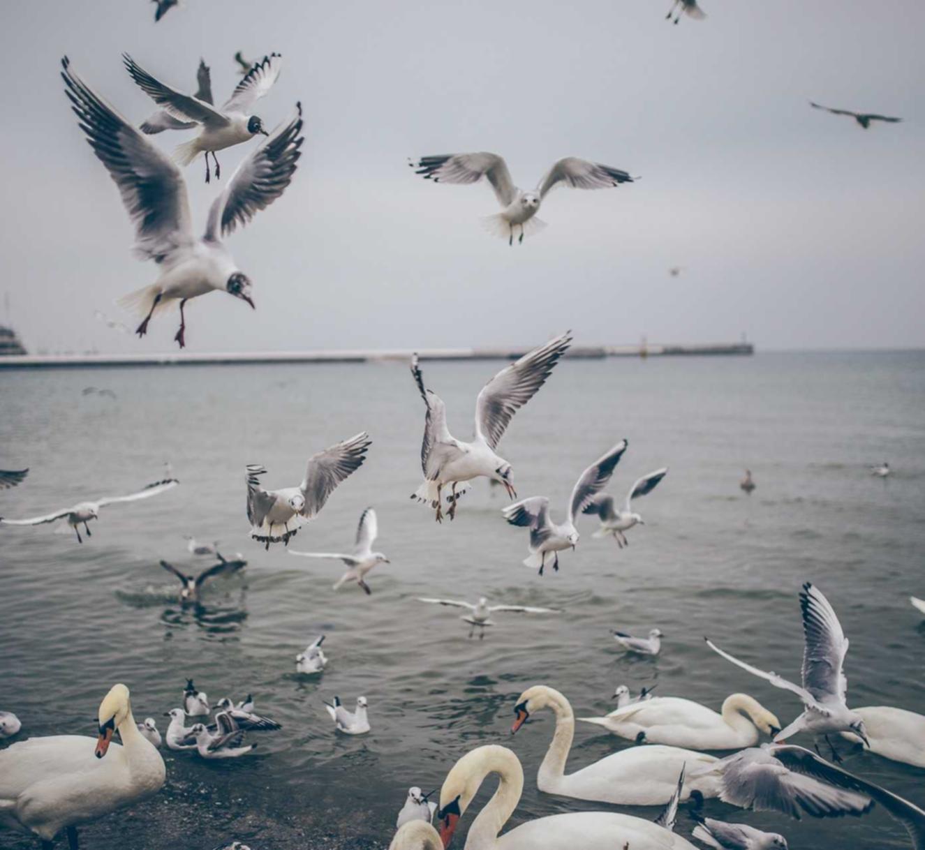 浦东代理记账平台