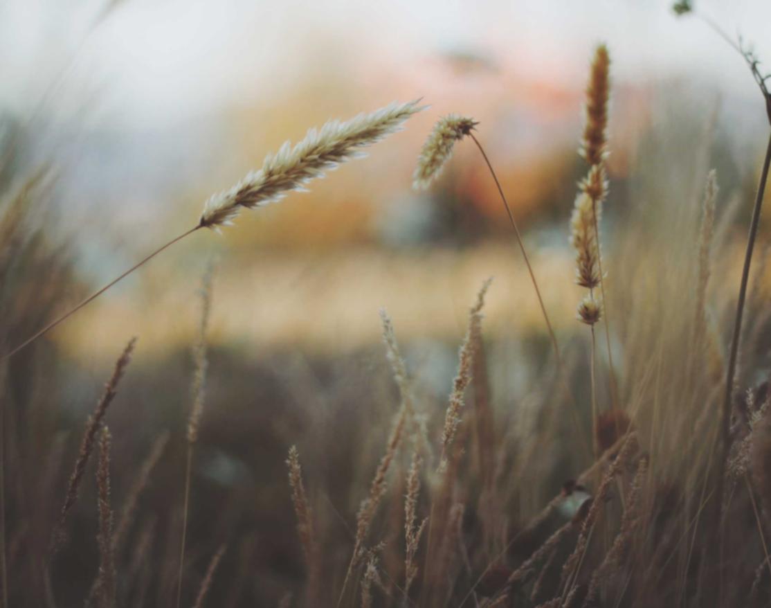 学生流量卡- 青浦注册公司代理记账