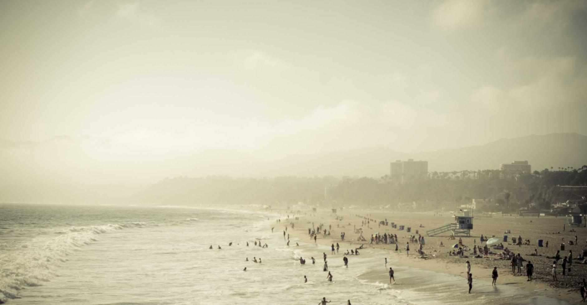 掌门太忙：治愈温柔APP详情下载教程