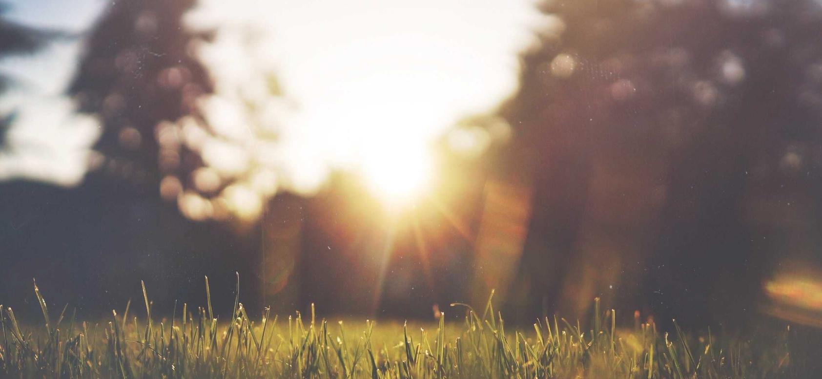 铁盒欧盟万宝路黑冰爆珠：手机注册wps账号安全吗