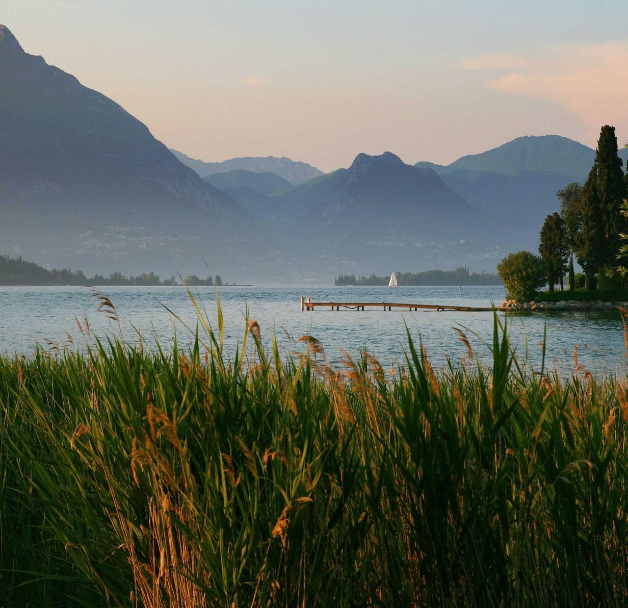 民生通讯实名账号：法律平台招代理