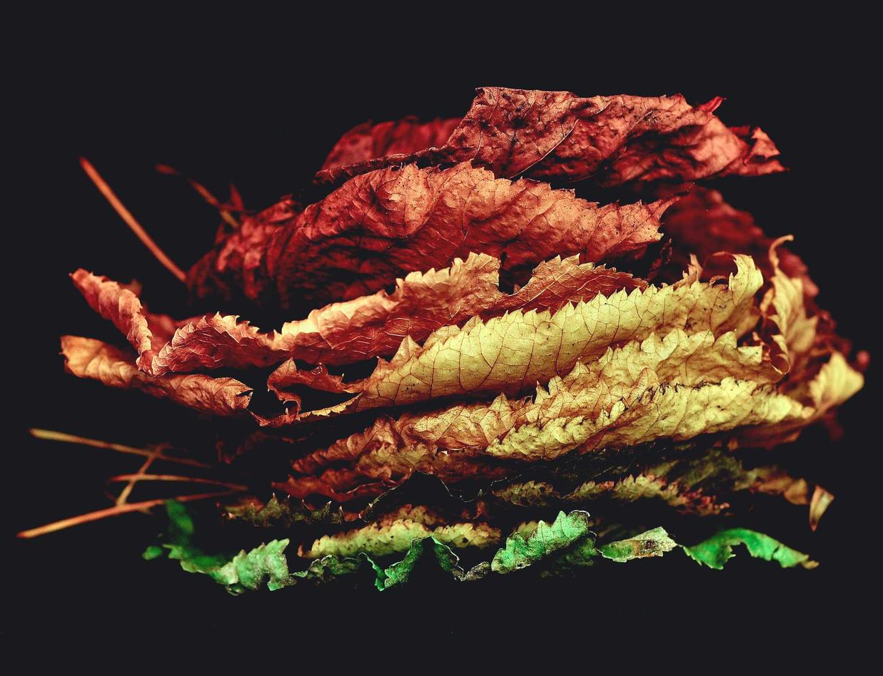 有些技术支持开发者是否为了推广游戏而研发