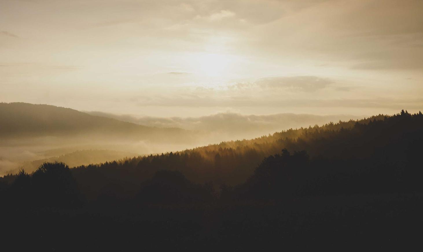 吸烟可以影响味觉吗