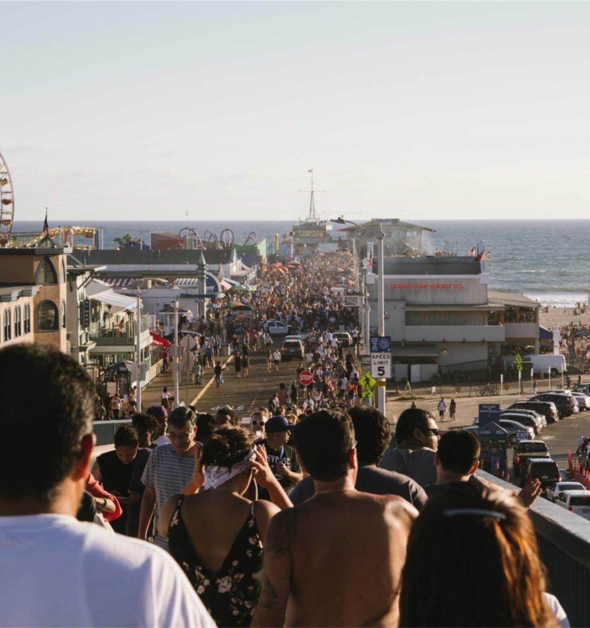 诛仙3：风险管理平台 代理 判刑